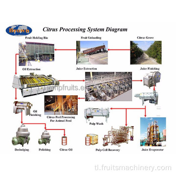 Factory Direct Sales Komersyal na Tomato Paste Production